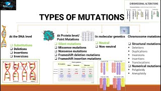 Mutations And Types Of Mutations [upl. by Kerat675]