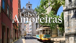 Lisboa Amoreiras Portugal [upl. by Lihas]