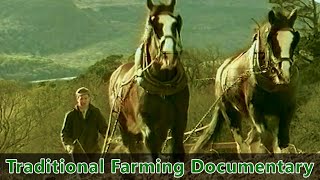 Traditional Farming Documentary  Farm life in Ireland during the 1930s  quotPreserving the Pastquot [upl. by Kyred]