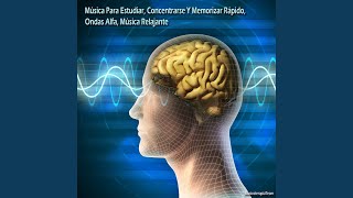 Música Para Estudiar Concentrarse Y Memorizar Rápido Ondas Alfa Música Relajante [upl. by Renfred]