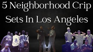 5 Neighborhood Crip Sets In Los Angeles California  La Gangs [upl. by Thirzi750]