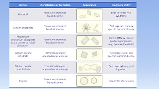 Interpretation of the Urinalysis Part 3  Microscopy and Summary [upl. by Valente]