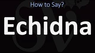 How to Pronounce Echidna CORRECTLY [upl. by Edlun]