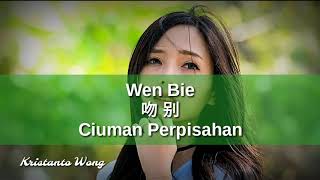 Wen Bie  Ciuman Perpisahan  吻别  张玮伽 Zhang Wei Jia [upl. by Ellerol]