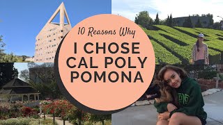 10 Reasons Why I Chose Cal Poly Pomona [upl. by Talbot846]