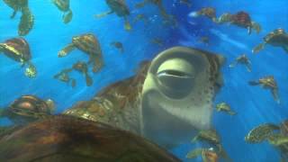 Finding Nemo quotFish Are Friendsquot Clip [upl. by Barbaraanne781]