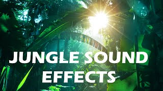 Jungle and Rainforest Sound Effects  Tropical Forest Ambiences from Costa Rica [upl. by Asiralc417]