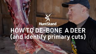 How To DeBone A Deer And Identify Primary Cuts [upl. by Gennifer]