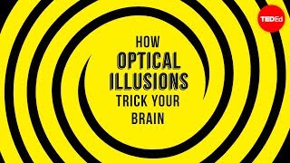 How optical illusions trick your brain  Nathan S Jacobs [upl. by Michell]