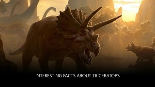 Interesting Facts about Triceratops [upl. by Stambaugh]