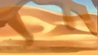 1 hour of Simba Running Through the Desert Busa The Lion King [upl. by Andreana]