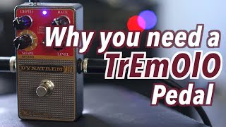 Why You Need a Tremolo Pedal [upl. by Yelehsa950]