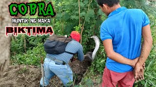 COBRA MUNTIK NG MAKA BIKTIMA  ZUMA HARING AHAS [upl. by Slerahc]