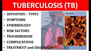 Tuberculosis TB Explained Causes Types Symptoms Diagnosis amp Treatment [upl. by Amsirahc470]