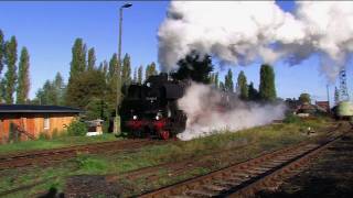 EisenbahnFest Staßfurt 12 Dampflok  Zug  Steam Train [upl. by Adelind]