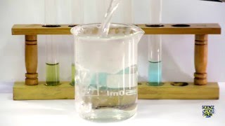 Food Tests  Iodine Biuret Benedicts Ethanol DCPIP [upl. by Rupert]