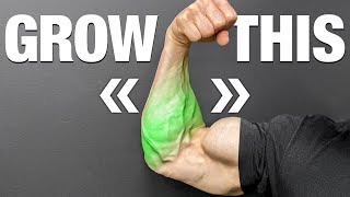 How to Get Jacked Forearms CONTROVERSIAL [upl. by Tufts431]