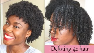 Defined curls on 4c natural hair using the LOC method no gel [upl. by Ruffi]