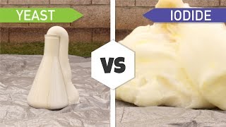 Making Elephant Toothpaste Yeast vs Iodide [upl. by Aenneea749]