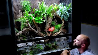 Aquascape Tutorial HUGE XL Paludarium  Vivarium Flooded Rainforest Build How To Step By Step [upl. by Cornelle]