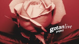 Gotan Project Live Full Album [upl. by Marjie405]