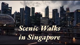 Scenic Walks Beautiful Singapore [upl. by Wohlen593]