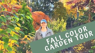 🍂 Fall Color Garden Tour 🍂 [upl. by Dahle]