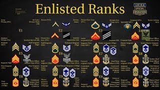 US Military All Branches ENLISTED Ranks Explained [upl. by Payson]