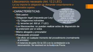 Lec22 Litisconsorcio necesario umh1434 201516 [upl. by Jemimah417]