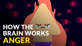 How The Brain Works With Anger [upl. by Norra]