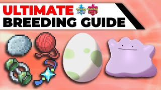 ULTIMATE Breeding Guide Perfect IVs EVs Natures Hidden Abilities  Pokémon Sword amp Shield [upl. by Pontias]