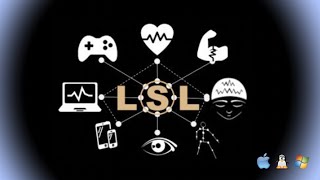 The Lab Streaming Layer LSL [upl. by Aicineohp]