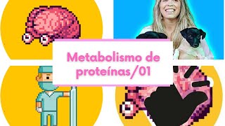 Metabolismo de proteínas01 [upl. by Lever]