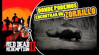 Donde cazar ZORRILLO O MOFETA  LOCALIZACIÓN EN RED DEAD REDEMPTION 2  RDR2 [upl. by Alrich]