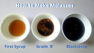 How to Make Molasses at Home  3 homemade grades of molasses [upl. by Icats450]