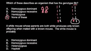 Homozygous heterozygous hemizygous haploid [upl. by Wylen421]