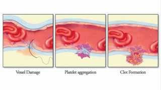 Introduction to Microsurgery Part 1 [upl. by Rotberg]