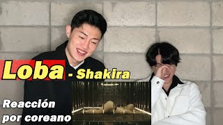 Loba Reacción por coreano  Shakira [upl. by Vincents802]