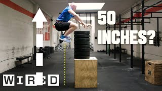 Why Its Almost Impossible to Jump Higher Than 50 Inches  WIRED [upl. by Rossuck]