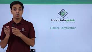 Class 11th – Flower – Aestivation  Morphology of Flowering Plants  Tutorials Point [upl. by Moises]