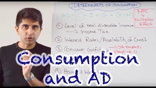 Y1 5 Consumer Spending and Aggregate Demand [upl. by Rosita647]