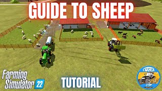 GUIDE TO SHEEP  Farming Simulator 22 [upl. by Orvas244]