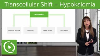 Transcellular Shift – Hypokalemia– Nephrology  Lecturio [upl. by Enyedy]