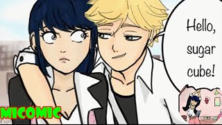 Unlucky Charm Part 1 Miraculous Ladybug Comic Dub [upl. by Okorih]