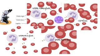 Comprendre les analyses sanguines [upl. by Abana]