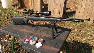 Benjamin Maximus 22 Cal Air Rifle Test Review [upl. by Ellehcar990]