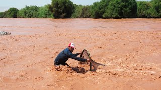 ASI SE PESCA CAMARONES CON Red TIPO ARCO en Río  Pesca extrema [upl. by Paine408]