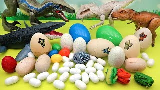 Dinosaur Egg Collection  Jurassic World Egg Mini Dino Egg Transformer Egg [upl. by Melvyn]