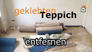 geklebten Teppich entfernen  Teil 1 [upl. by Ahsienod303]