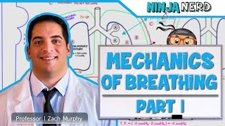 Respiratory  Mechanics of Breathing Pressure Changes  Part 1 [upl. by Marcos]